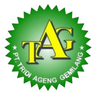 tridiageng.com